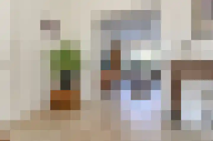 Kerkerinklaan 15 Santpoort-Noord thumbnail 12