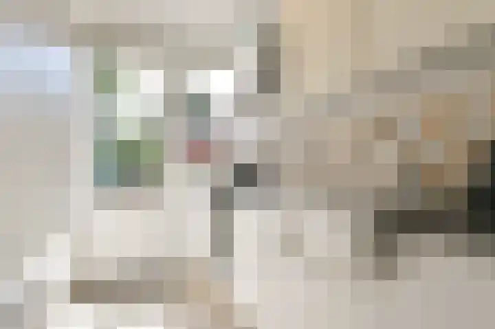 Kerkerinklaan 15 Santpoort-Noord thumbnail 17