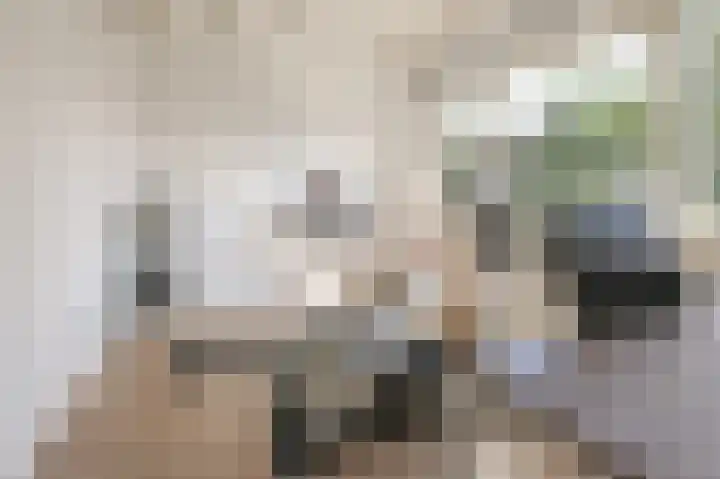 Kerkerinklaan 15 Santpoort-Noord thumbnail 33