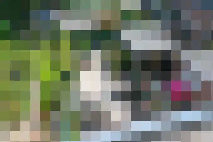 Kerkerinklaan 15 Santpoort-Noord thumbnail 36