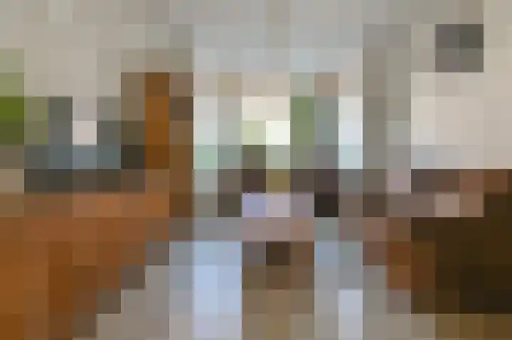 Kerkerinklaan 15 Santpoort-Noord thumbnail 6