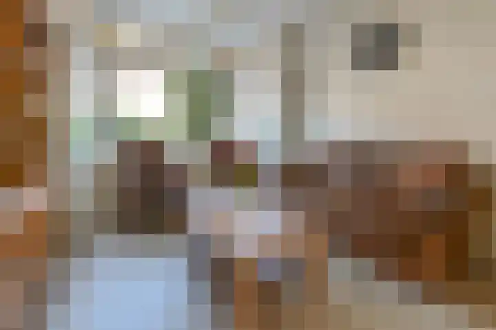 Kerkerinklaan 15 Santpoort-Noord thumbnail 7