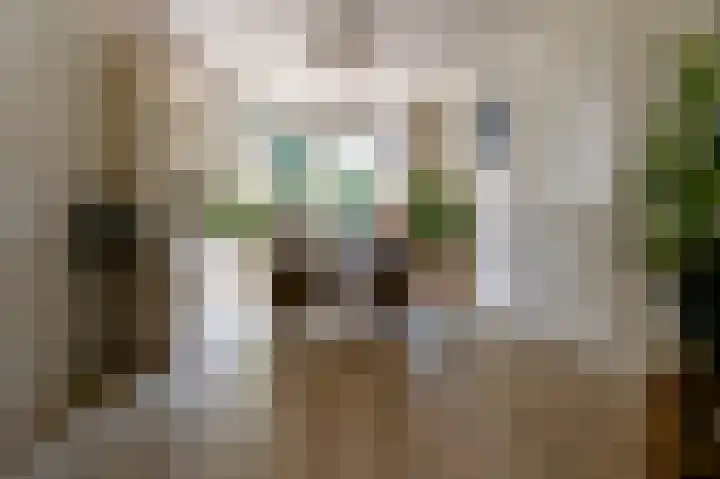 Kerkerinklaan 15 Santpoort-Noord thumbnail 9