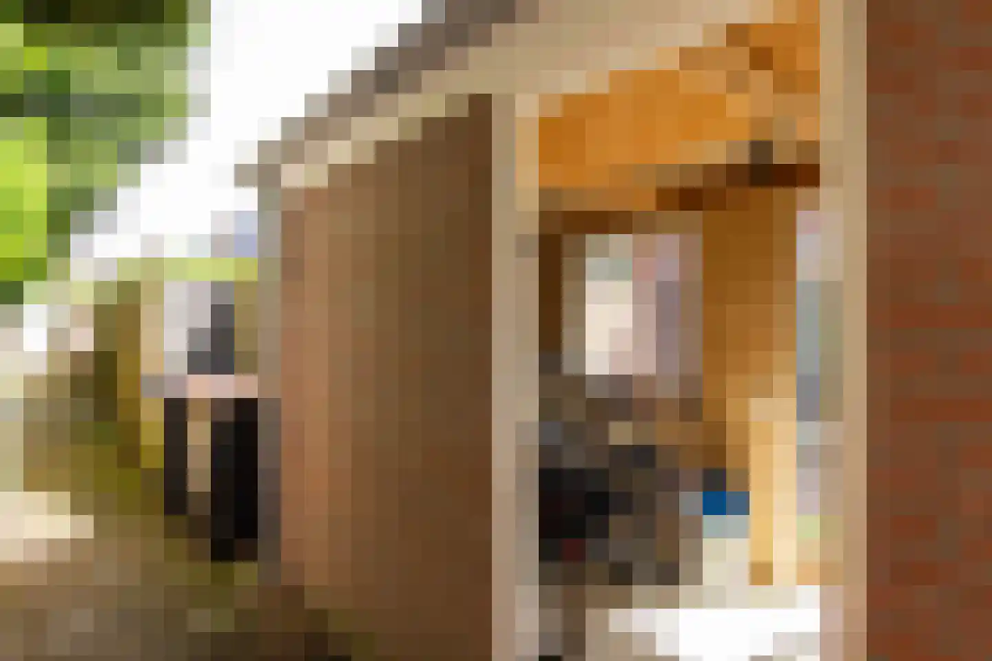 Kerkerinklaan 30 Santpoort-Noord thumbnail 23