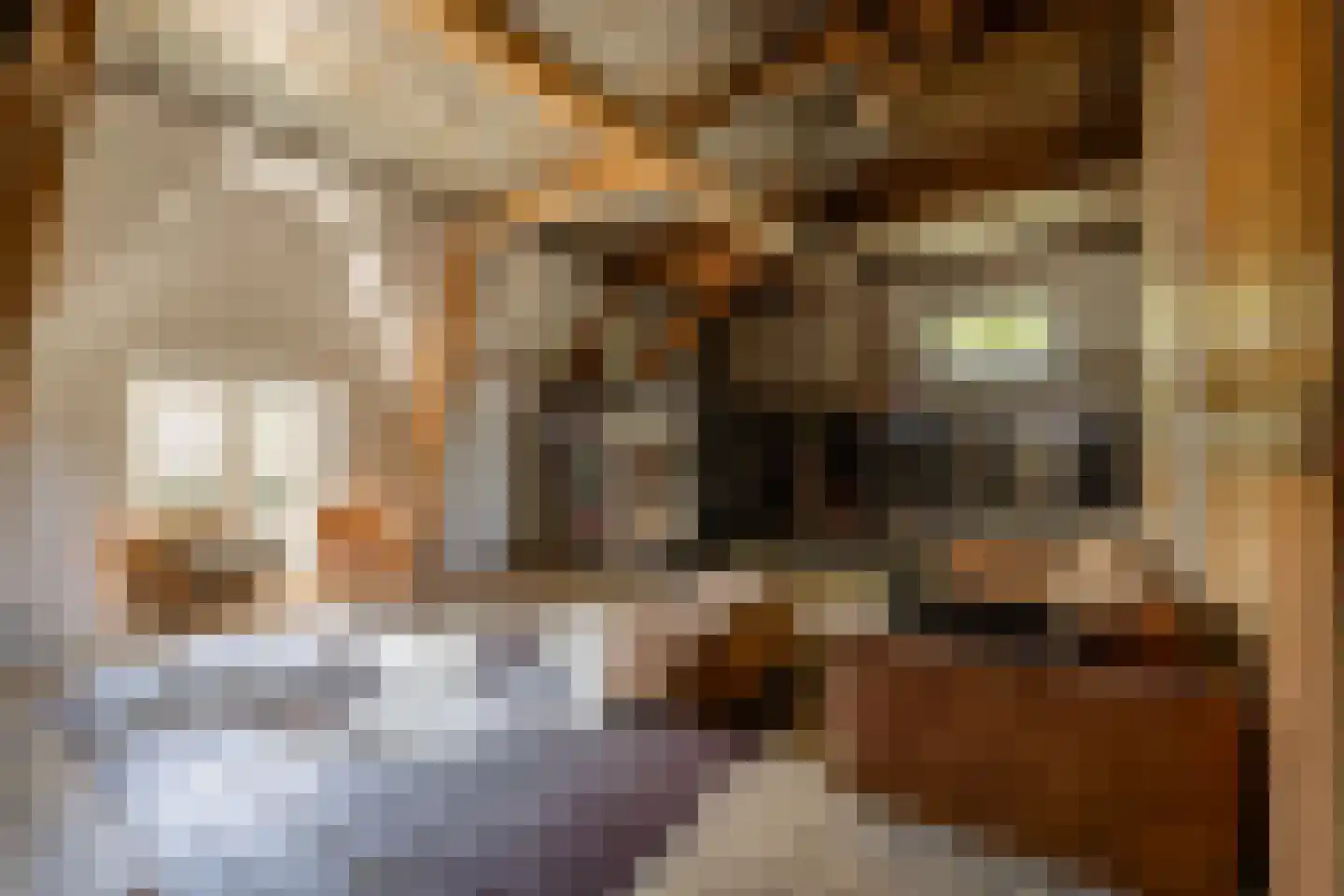 Kerkesingel 1 Velsen-Zuid thumbnail 61