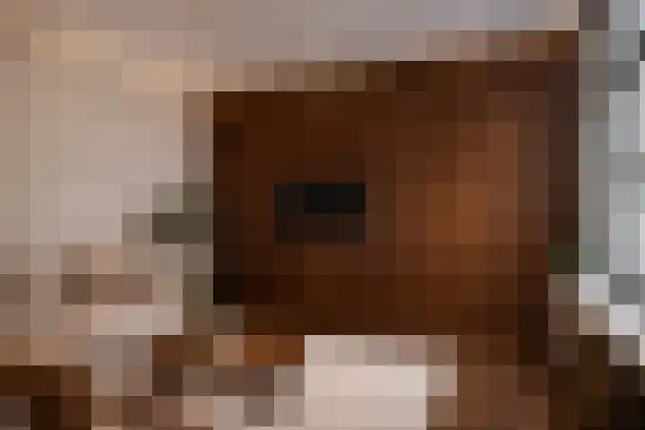 Kerkestoep 9 Krimpen aan de Lek thumbnail 15