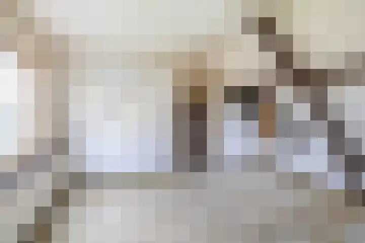 Kerkestoep 9 Krimpen aan de Lek thumbnail 27