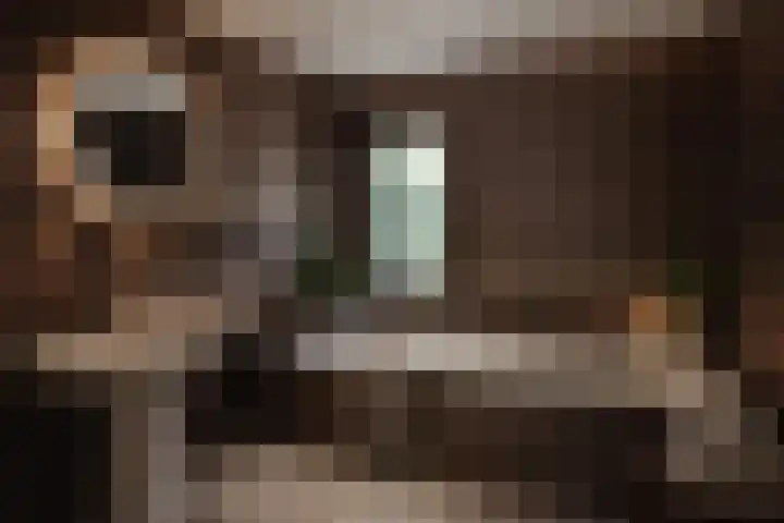 Kerkestoep 9 Krimpen aan de Lek thumbnail 29