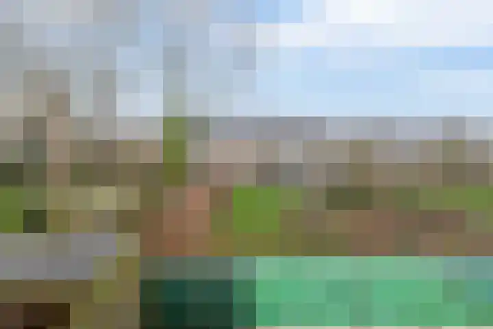Kerkestoep 9 Krimpen aan de Lek thumbnail 34