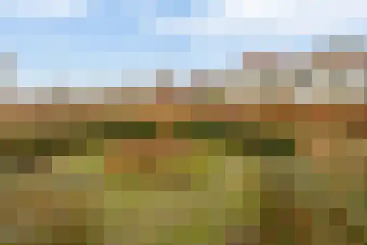 Kerkestoep 9 Krimpen aan de Lek thumbnail 35