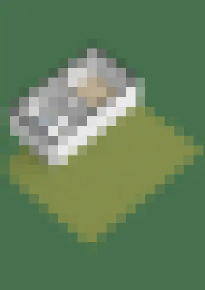 Kerkestoep 9 Krimpen aan de Lek thumbnail 37