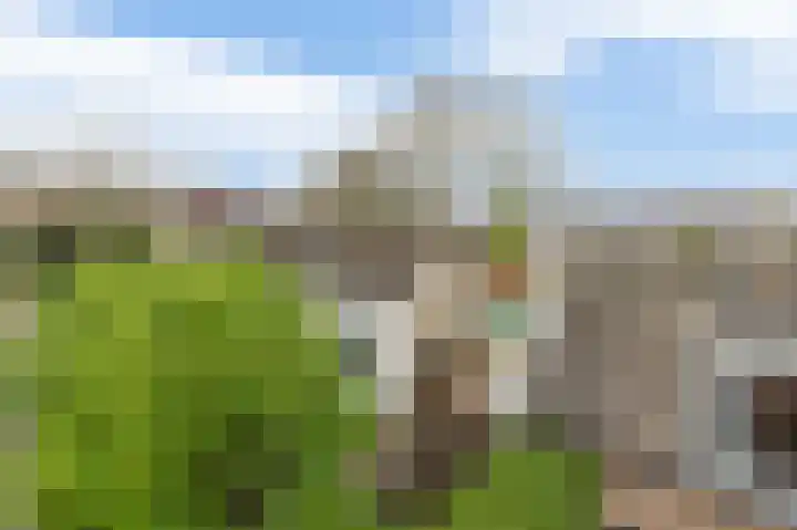 Kerkestoep 9 Krimpen aan de Lek thumbnail 6