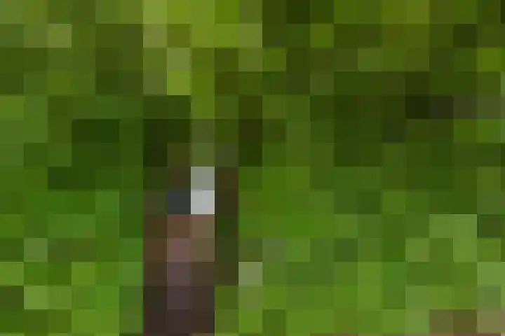 Kerkestoep 9 Krimpen aan de Lek thumbnail 8