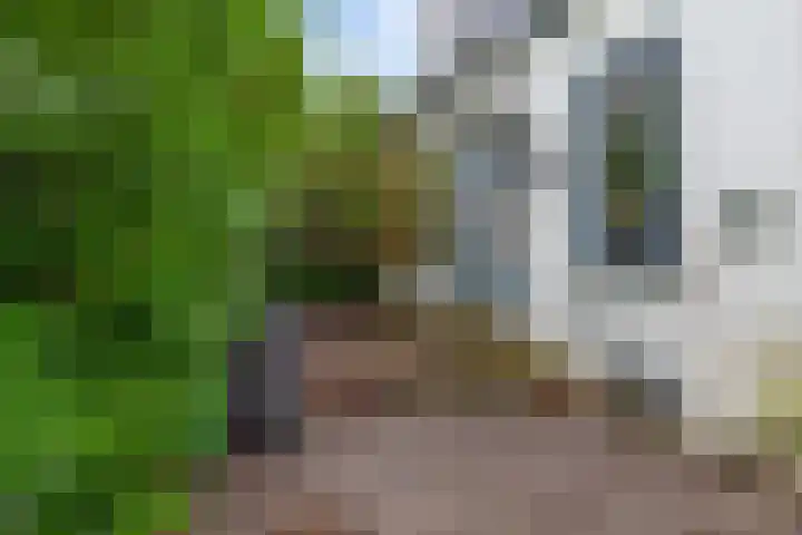 Kerkestoep 9 Krimpen aan de Lek thumbnail 9