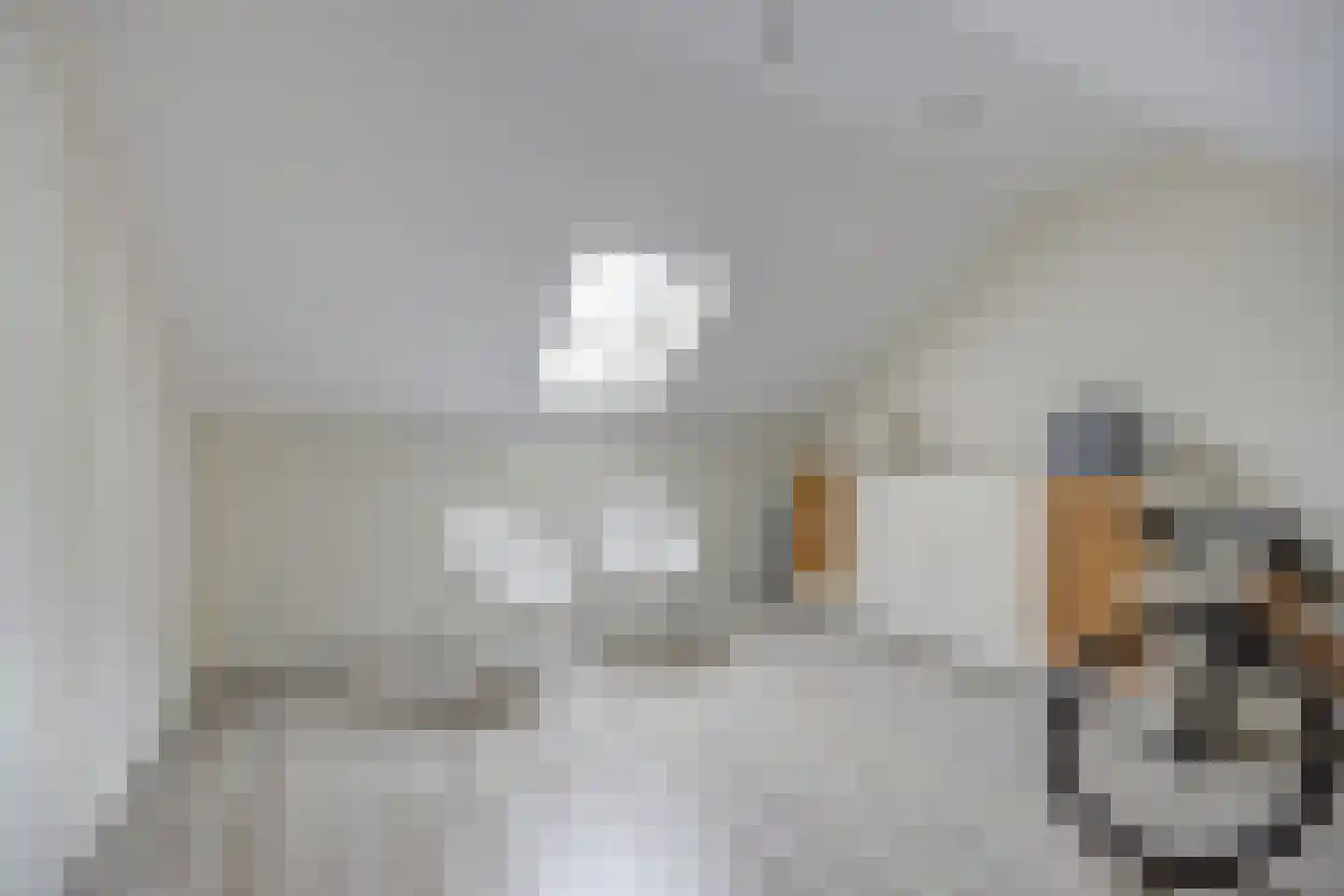 Kerketiend 24 Oudenbosch thumbnail 32