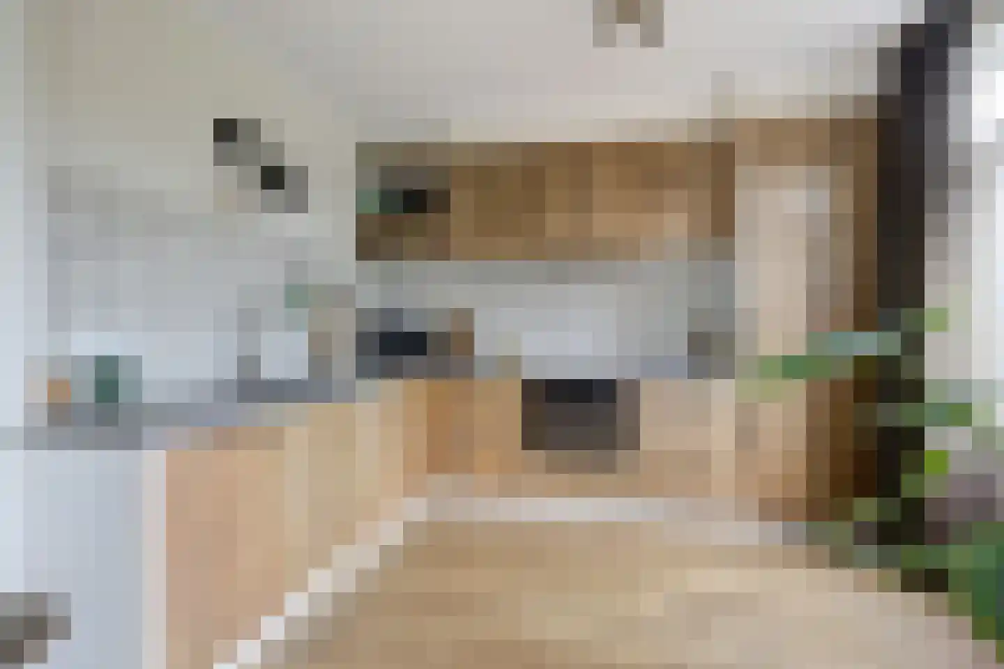 Kerketiend 24 Oudenbosch thumbnail 4