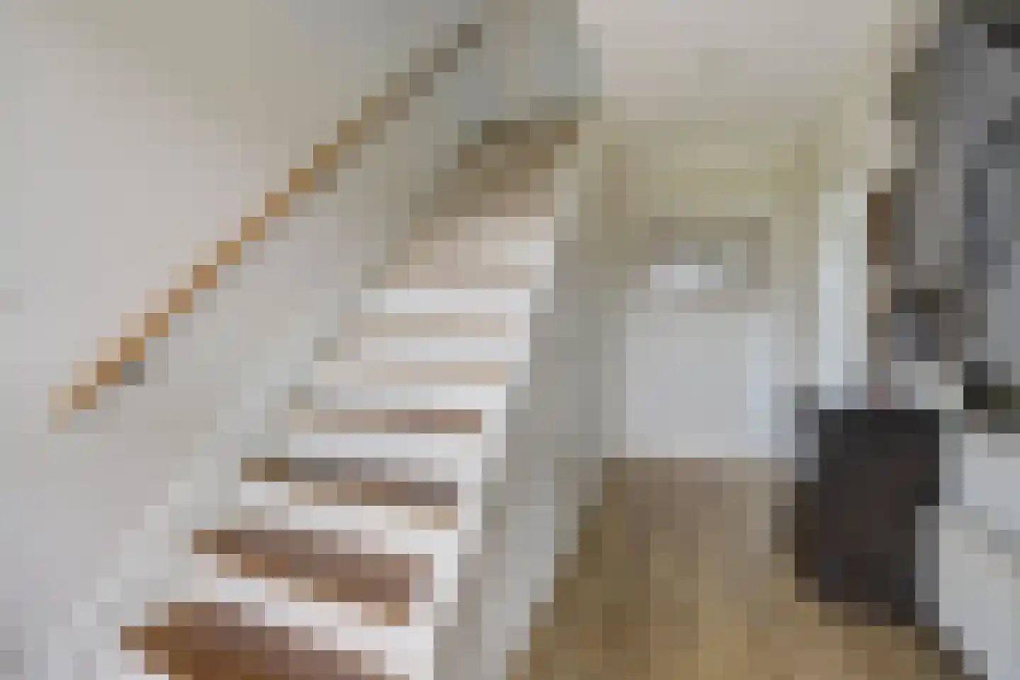 Kerketiend 24 Oudenbosch thumbnail 7