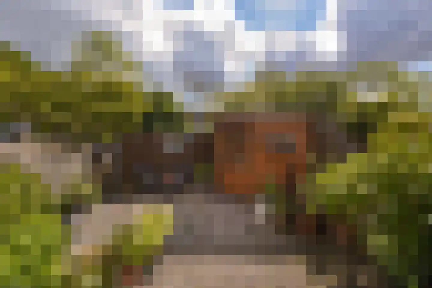 Kerketuin 19 Zwaag thumbnail 21