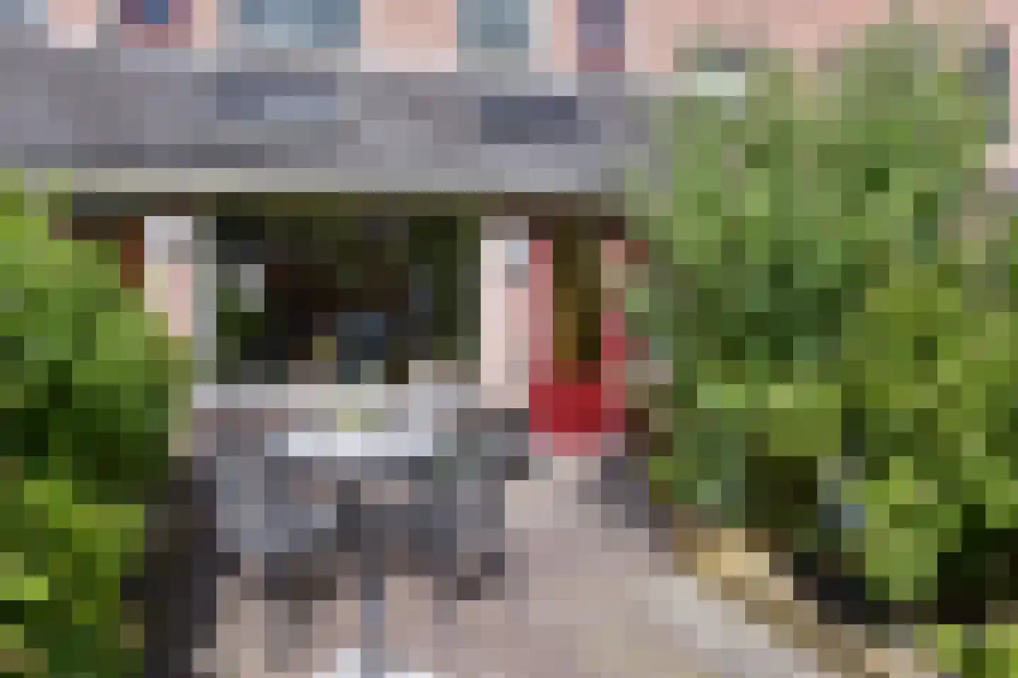 Kerketuin 19 Zwaag thumbnail 23