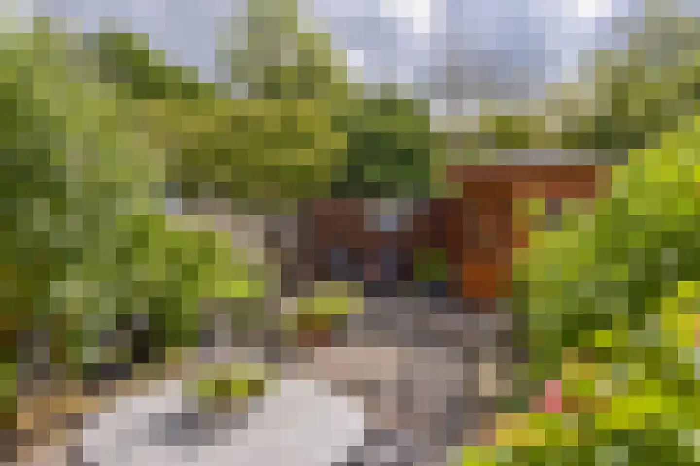 Kerketuin 19 Zwaag thumbnail 24