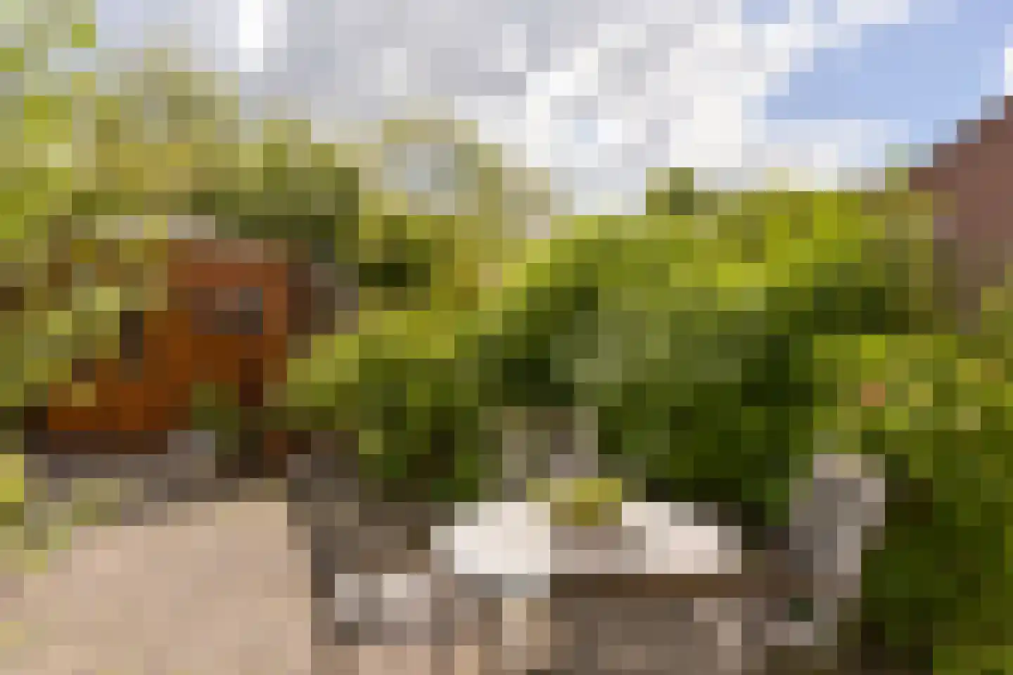 Kerketuin 19 Zwaag thumbnail 25