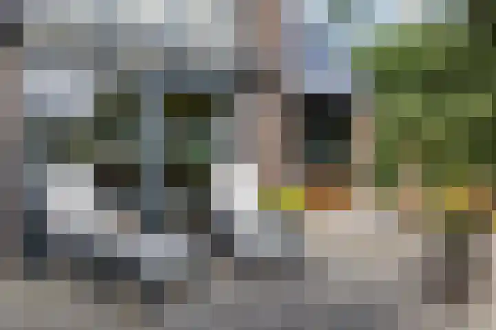 Kerketuin 23 Zwaag thumbnail 15