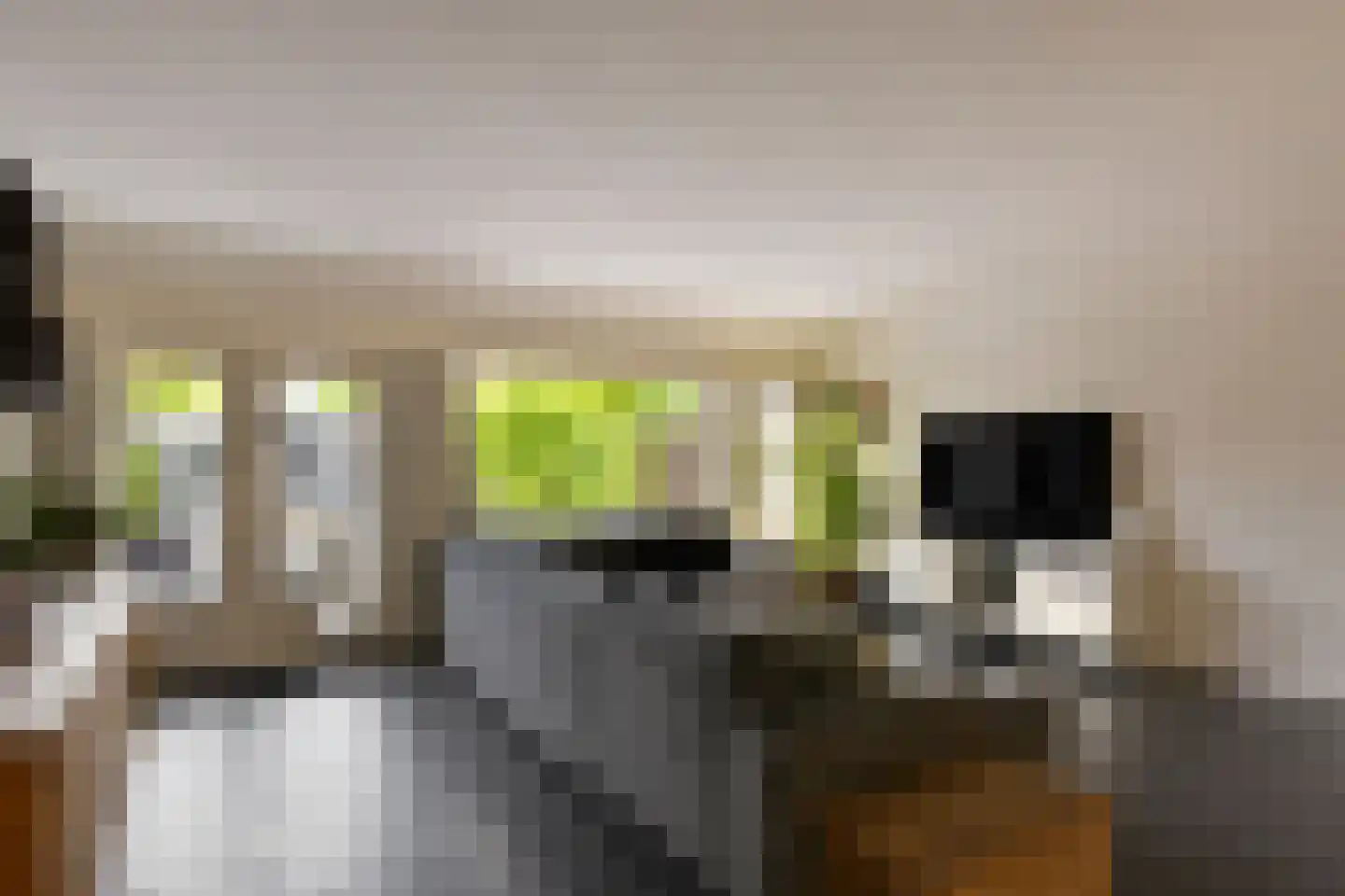 Kerketuin 62 Zwaag thumbnail 5