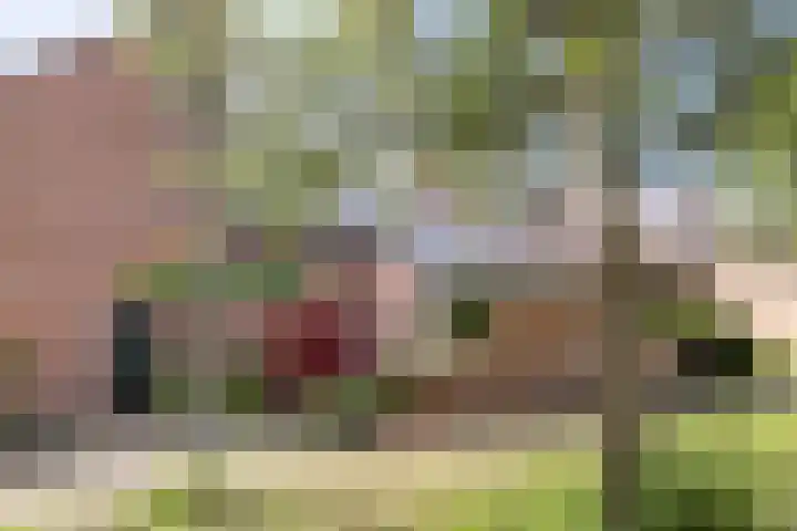 Kerketuin 99 Zwaag thumbnail 4