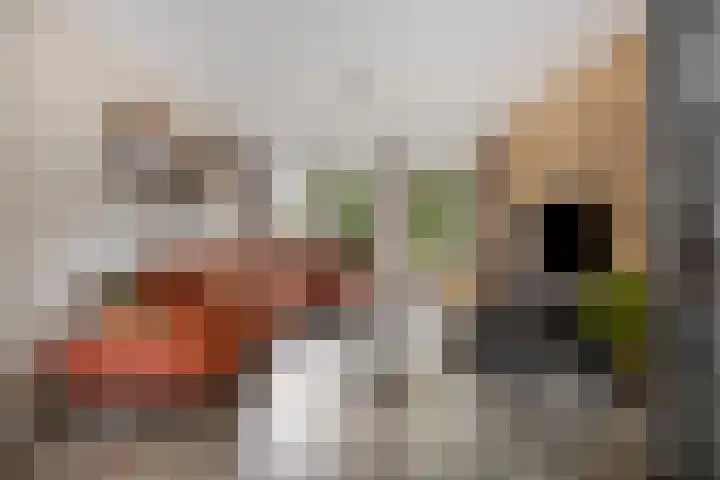 Kerkeveen 9 Appelscha thumbnail 14