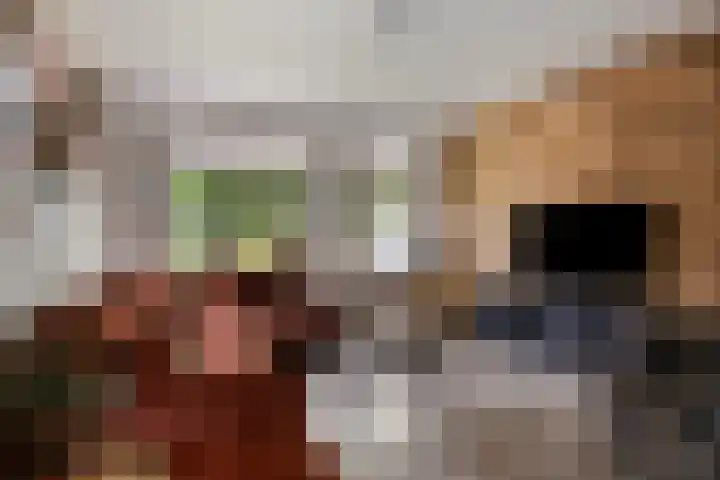 Kerkeveen 9 Appelscha thumbnail 17