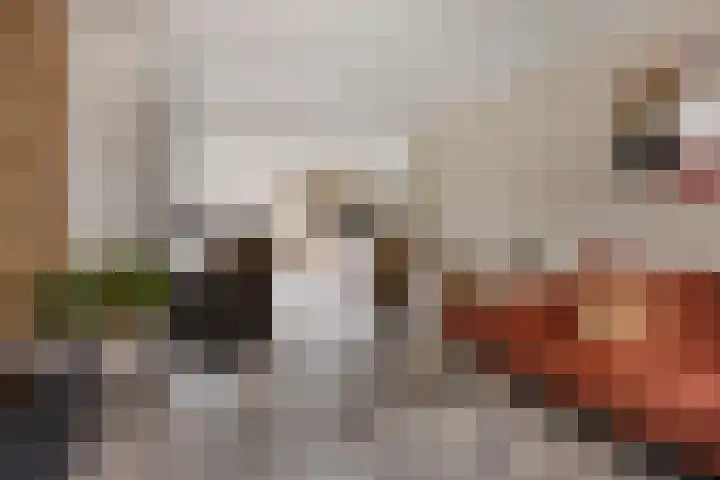 Kerkeveen 9 Appelscha thumbnail 18