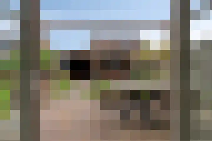 Kerkeveen 9 Appelscha thumbnail 27