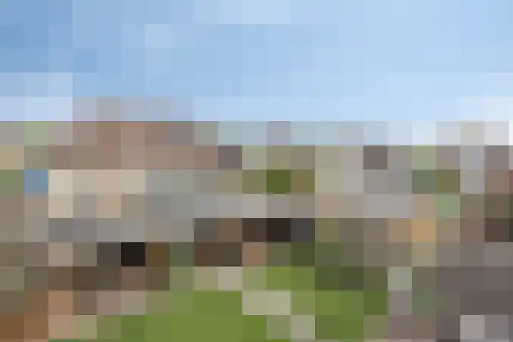 Kerkeveen 9 Appelscha thumbnail 40