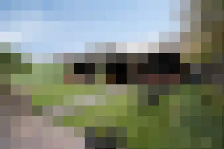 Kerkeveen 9 Appelscha thumbnail 44