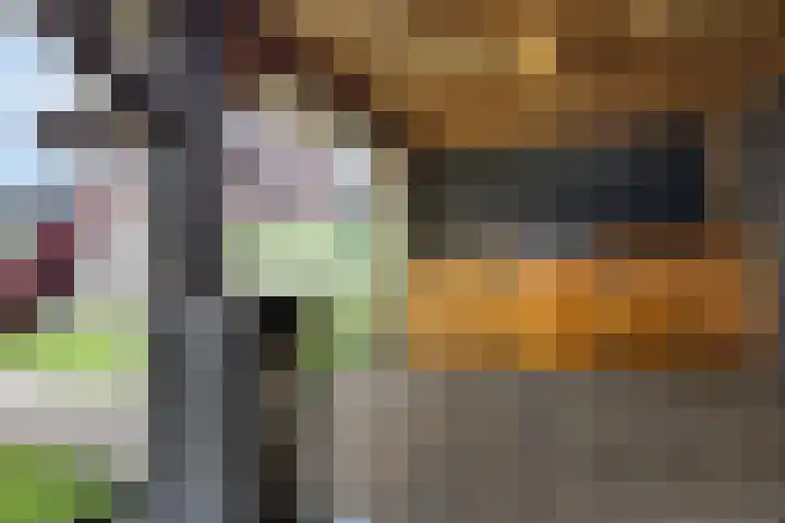Kerkeveen 9 Appelscha thumbnail 46