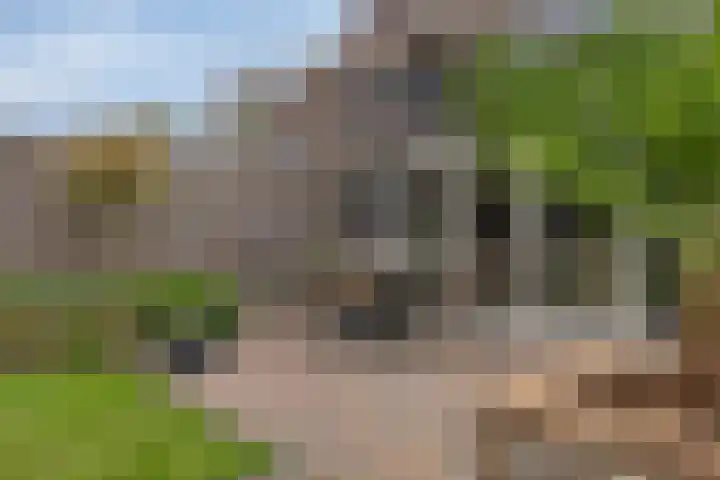 Kerkeveen 9 Appelscha thumbnail 48
