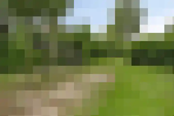 Kerkeveen 9 Appelscha thumbnail 49