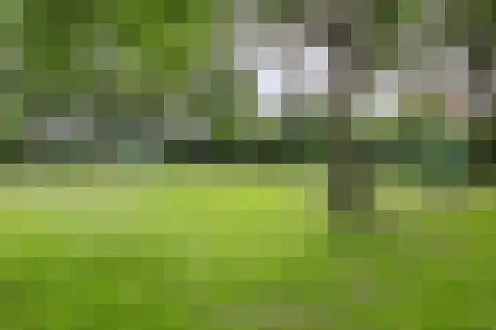 Kerkeveen 9 Appelscha thumbnail 50