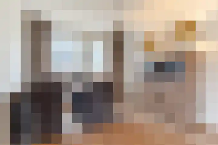 Kerkevelden 19 Eersel thumbnail 10