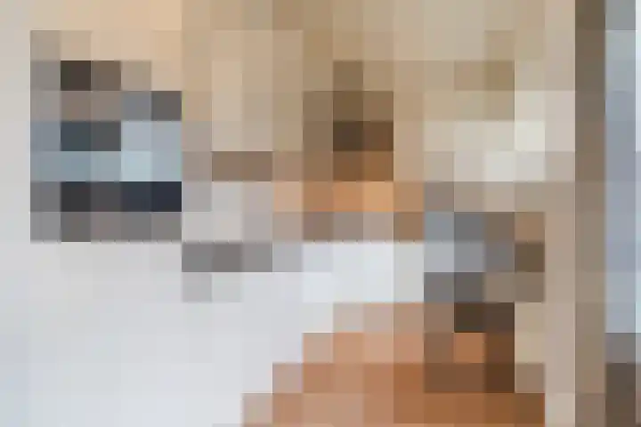 Kerkevelden 19 Eersel thumbnail 18