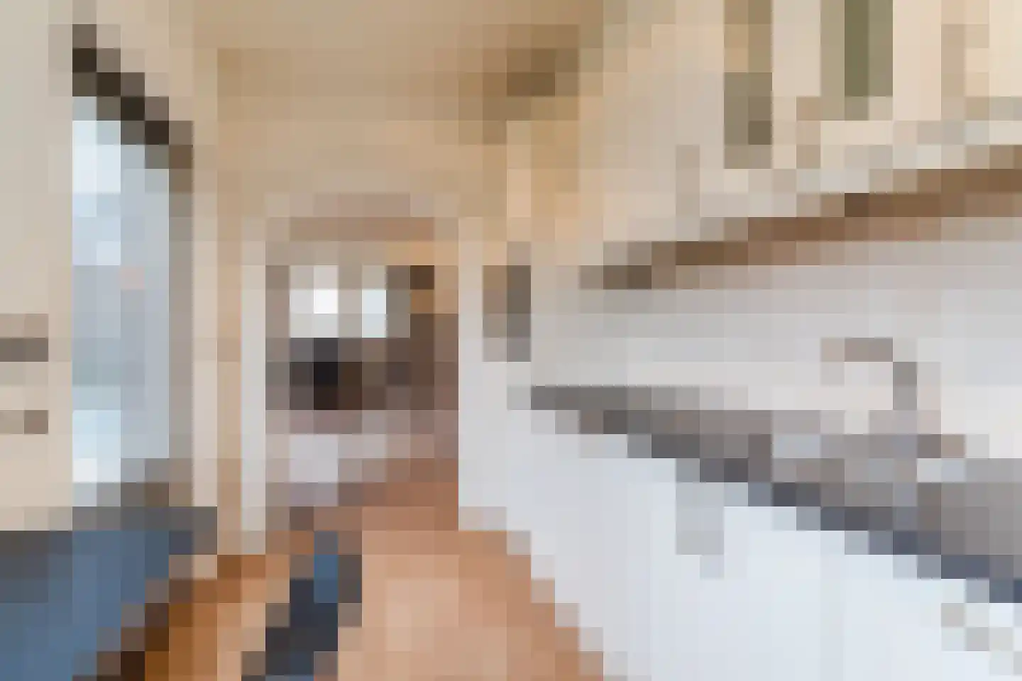 Kerkevelden 19 Eersel thumbnail 20
