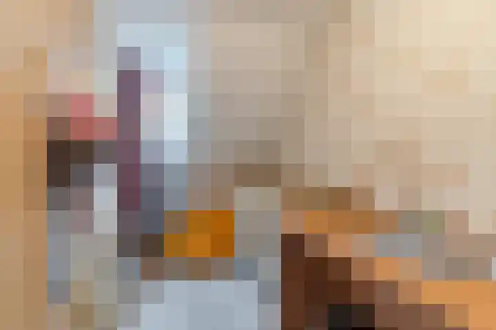 Kerkevelden 19 Eersel thumbnail 21
