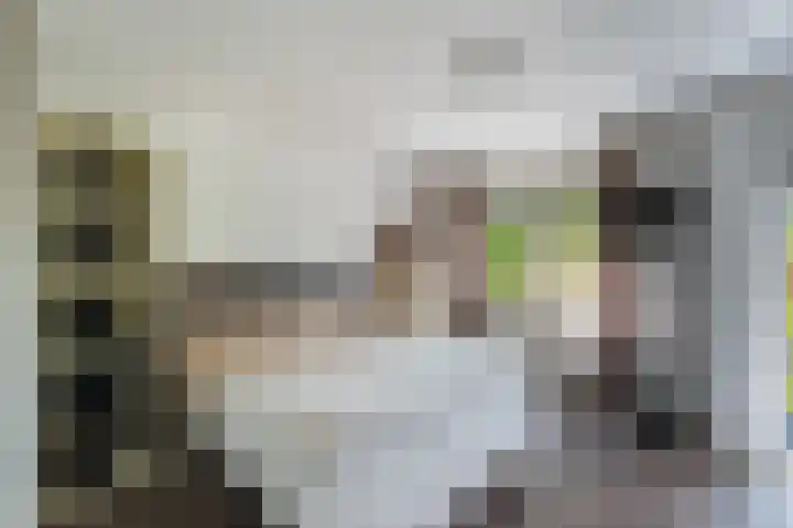 Kerkevelden 19 Eersel thumbnail 34