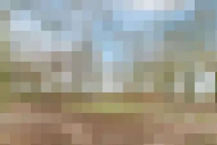 Kerkevelden 19 Eersel thumbnail 47
