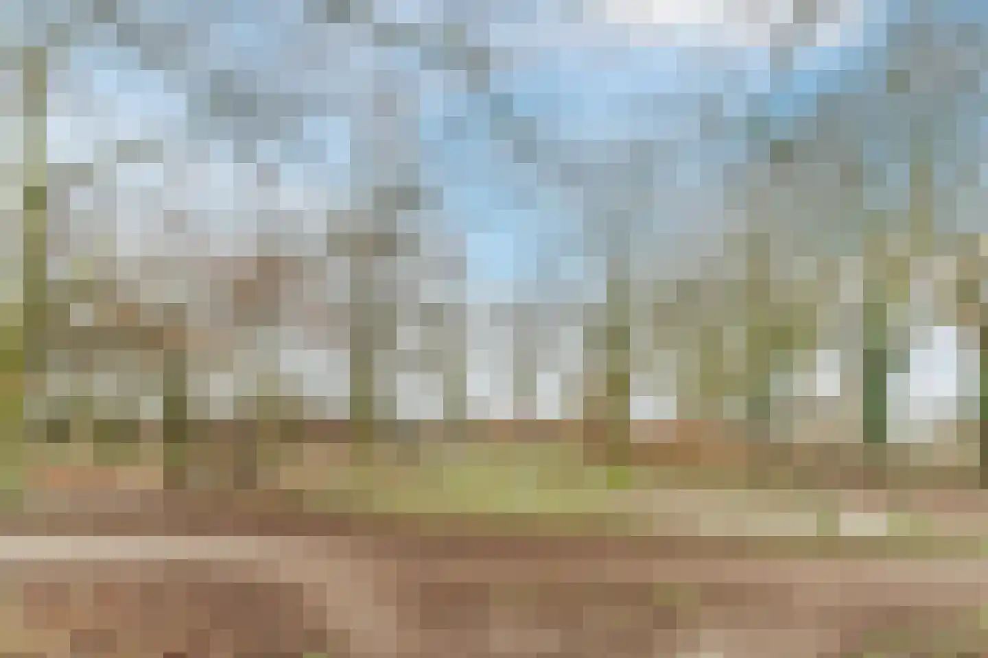 Kerkevelden 19 Eersel thumbnail 47