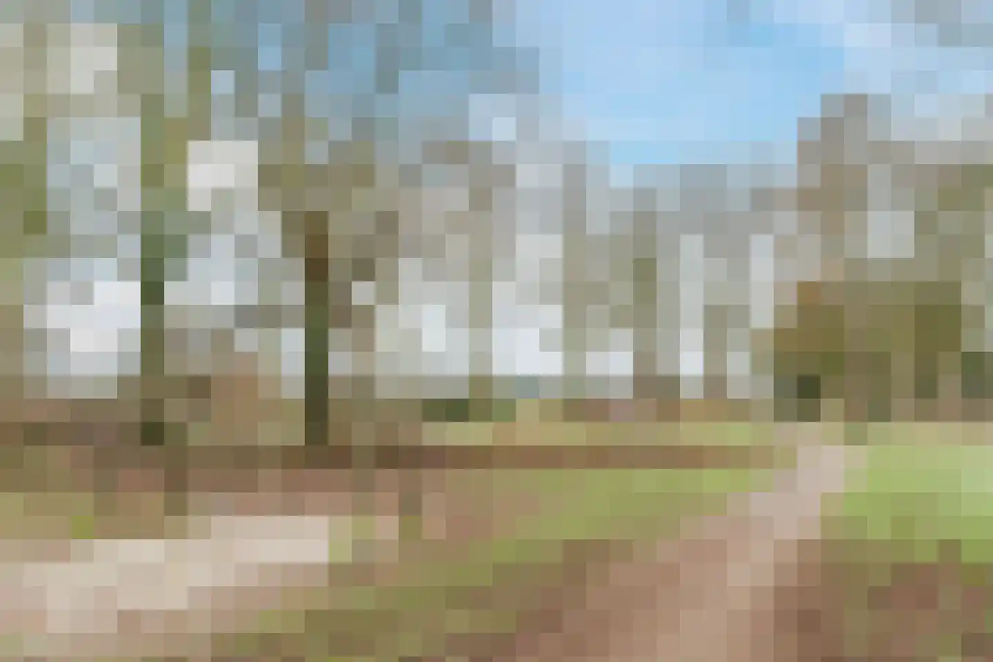 Kerkevelden 19 Eersel thumbnail 48