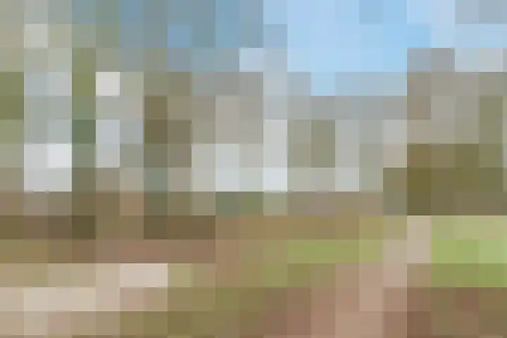 Kerkevelden 19 Eersel thumbnail 48