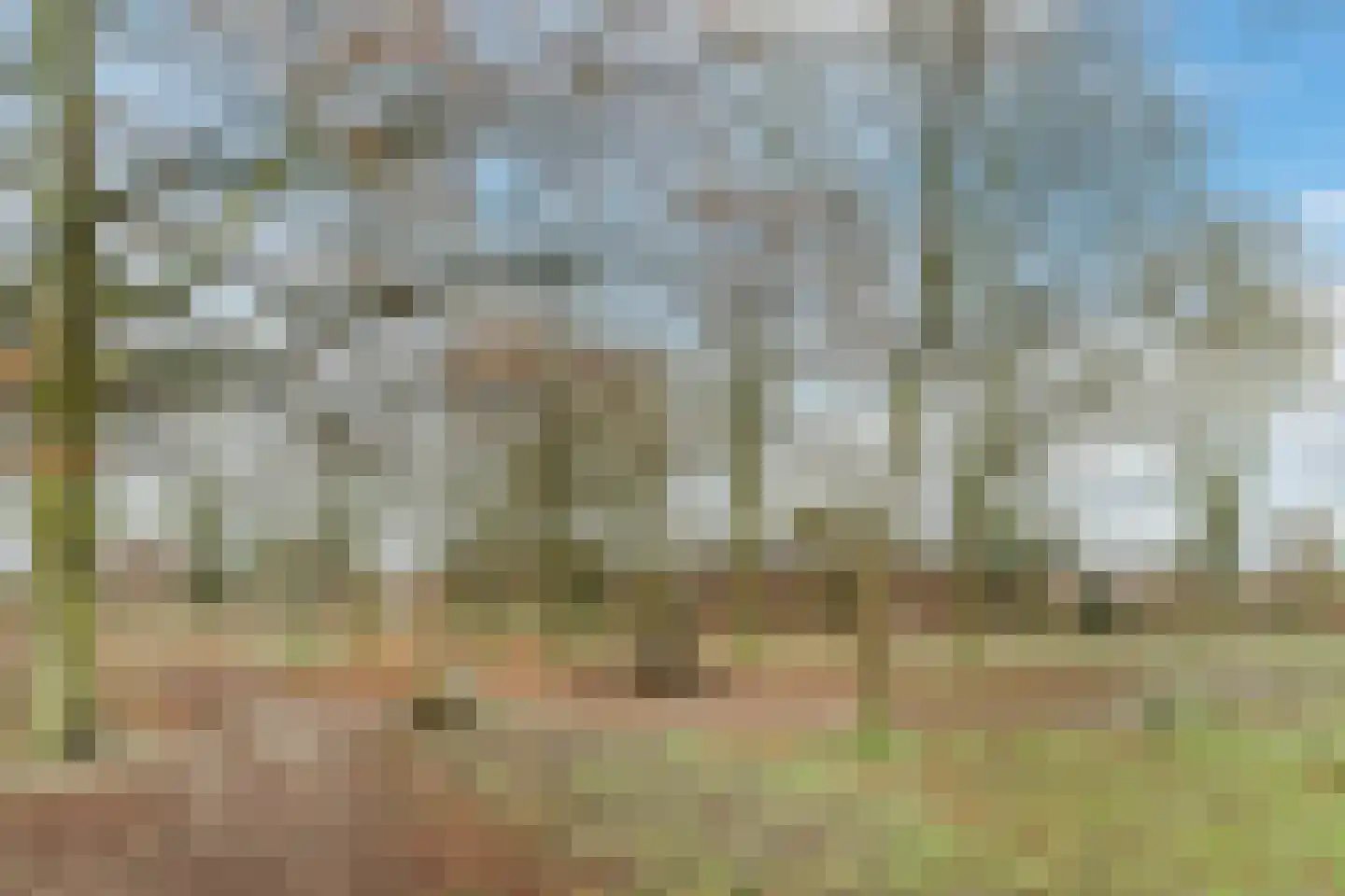 Kerkevelden 19 Eersel thumbnail 49