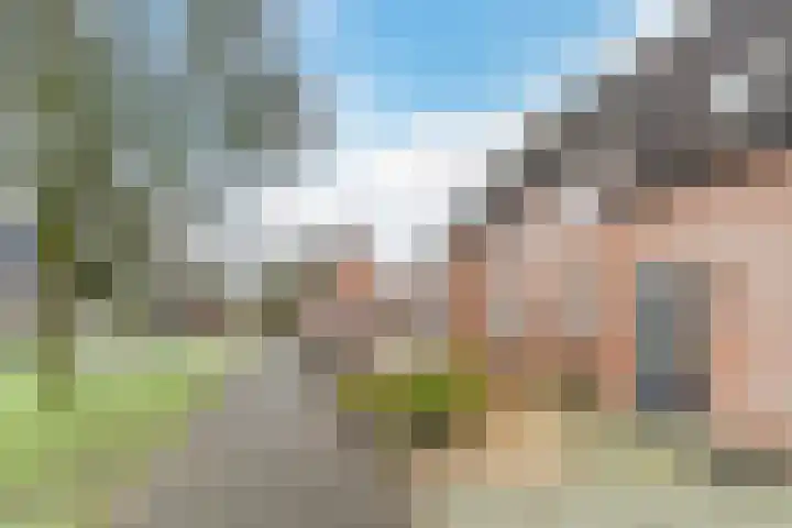 Kerkevelden 19 Eersel thumbnail 5