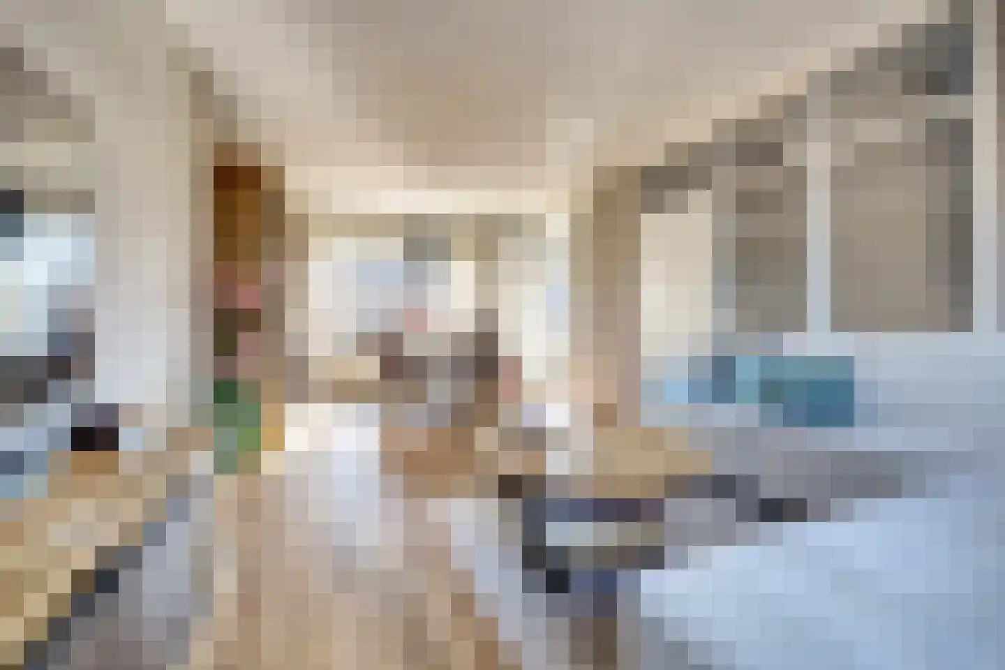 Kerkevelden 19 Eersel thumbnail 9